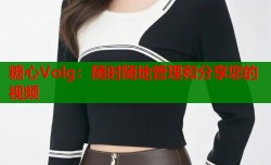 糖心Volg：随时随地管理和分享您的视频
