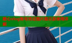 糖心vlog账号凭证图片展示及使用详解