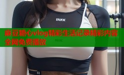 麻豆糖心vlog精彩生活记录精彩内容全网免费播放