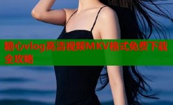 糖心vlog高清视频MKV格式免费下载全攻略
