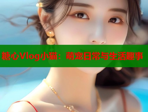 糖心Vlog小猫：萌宠日常与生活趣事  第1张