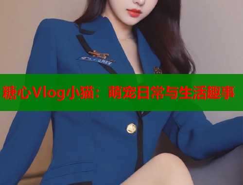 糖心Vlog小猫：萌宠日常与生活趣事  第2张