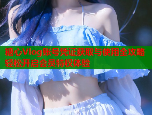 糖心Vlog账号凭证获取与使用全攻略轻松开启会员特权体验  第2张