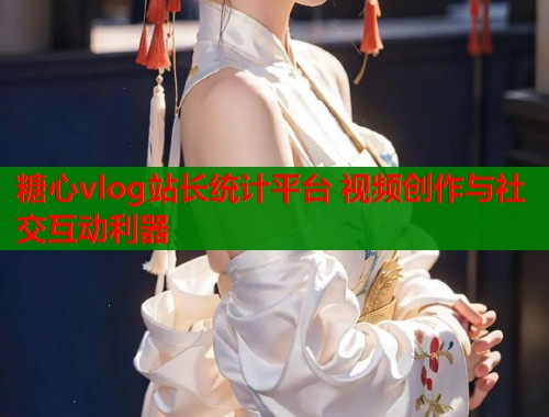 糖心vlog站长统计平台 视频创作与社交互动利器  第2张